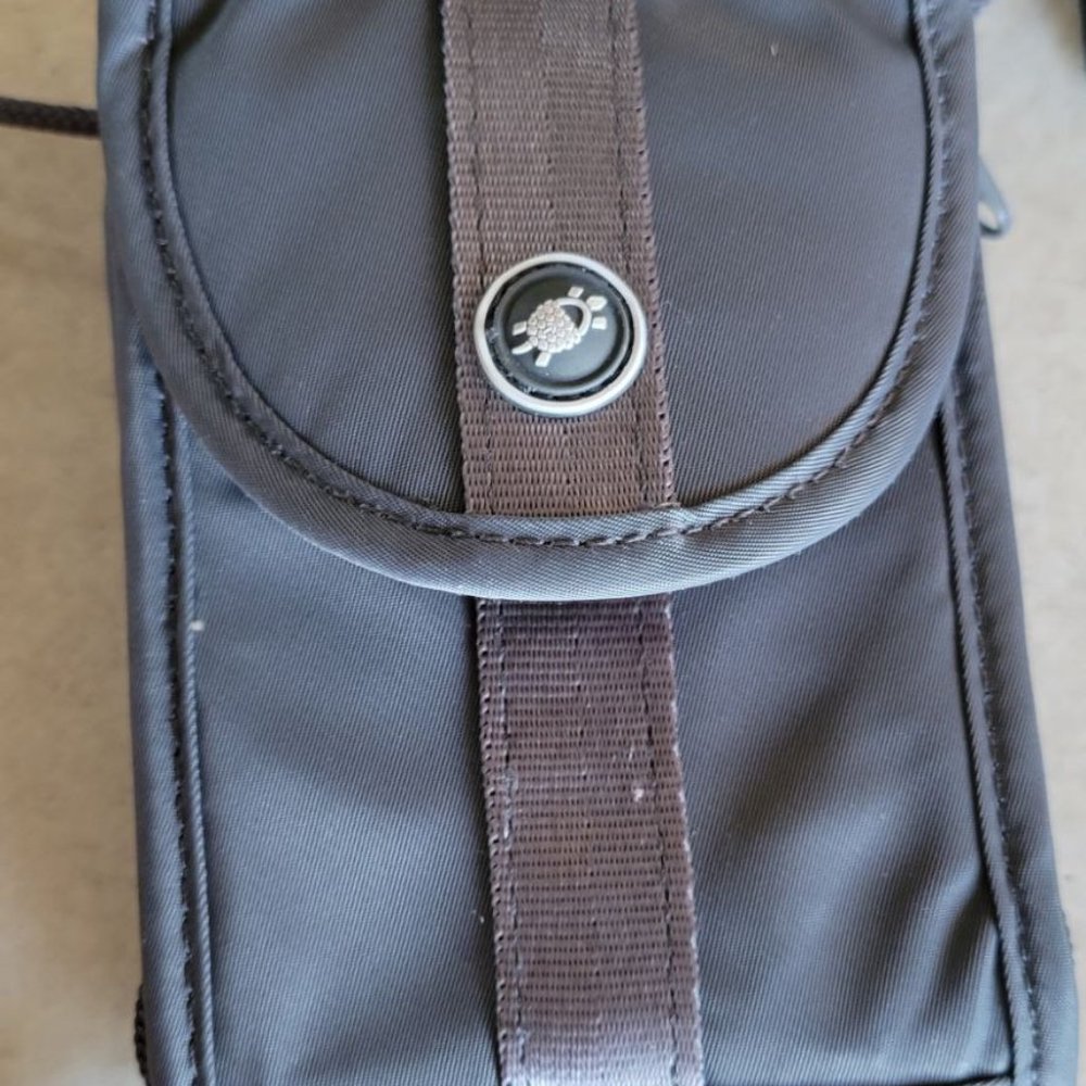 GRAY SLING SAFE PURSE